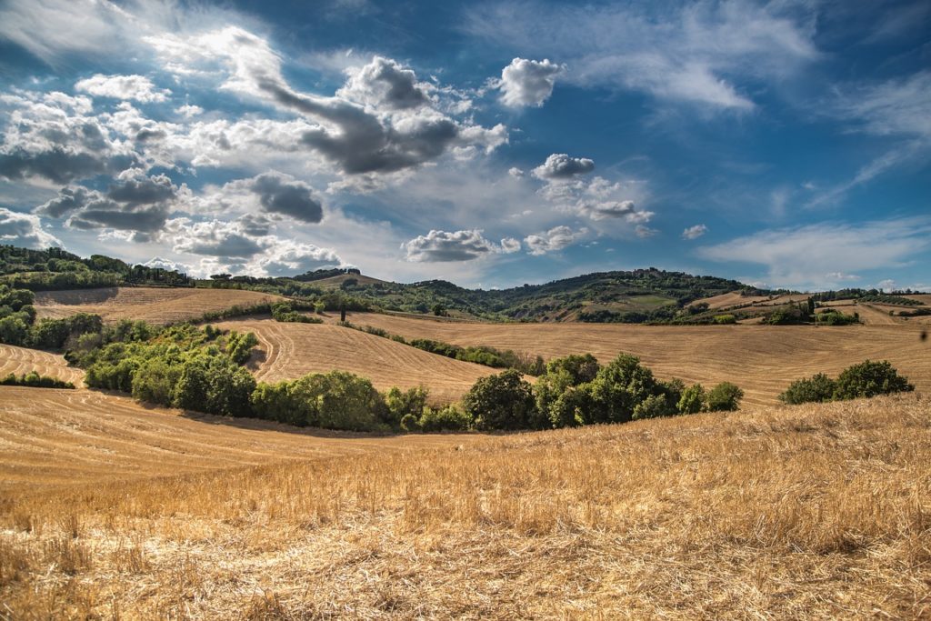 A picture displaying the Italian countryside reflecting the Italian cannabis industry
