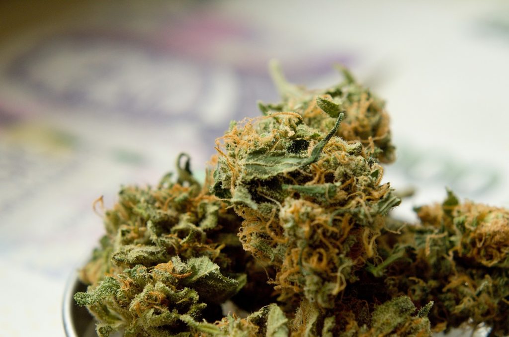 Aurora Cannabis stock might be facing a total crash
