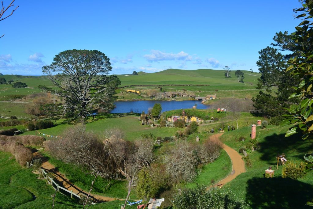 A farm representing the New Zealand cannabis industry