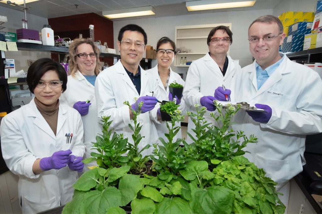 six people in lab coats, standing around some plants, representing cannabis courses in Canada