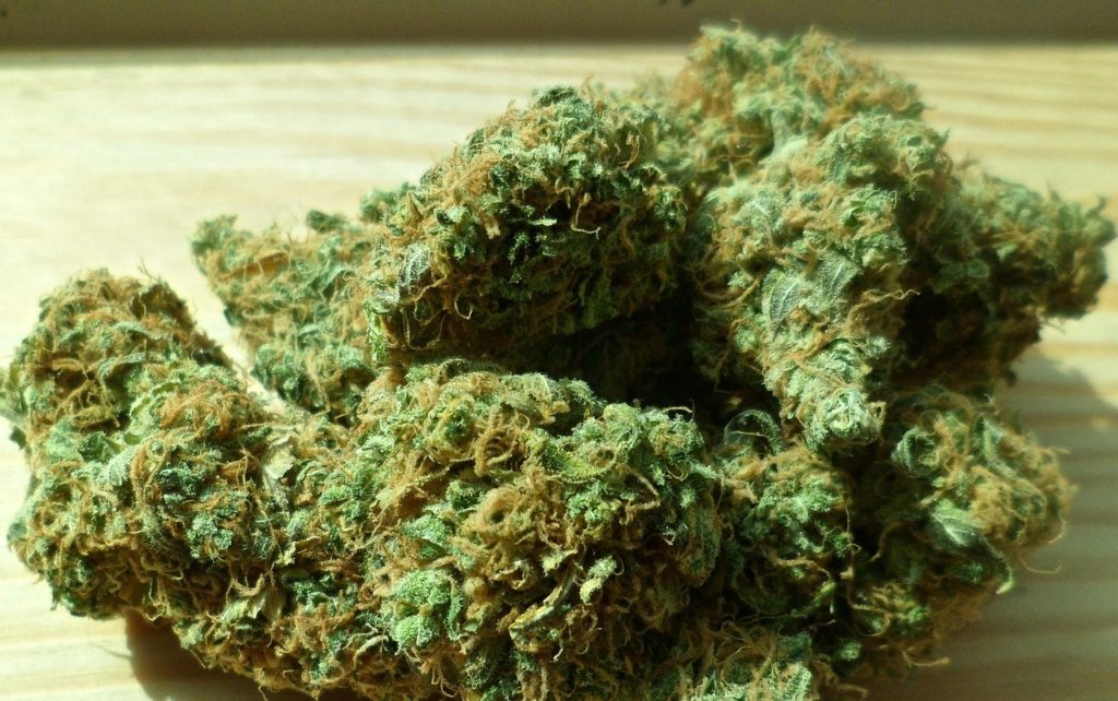 Cannabis representing the cannabinoid THCP