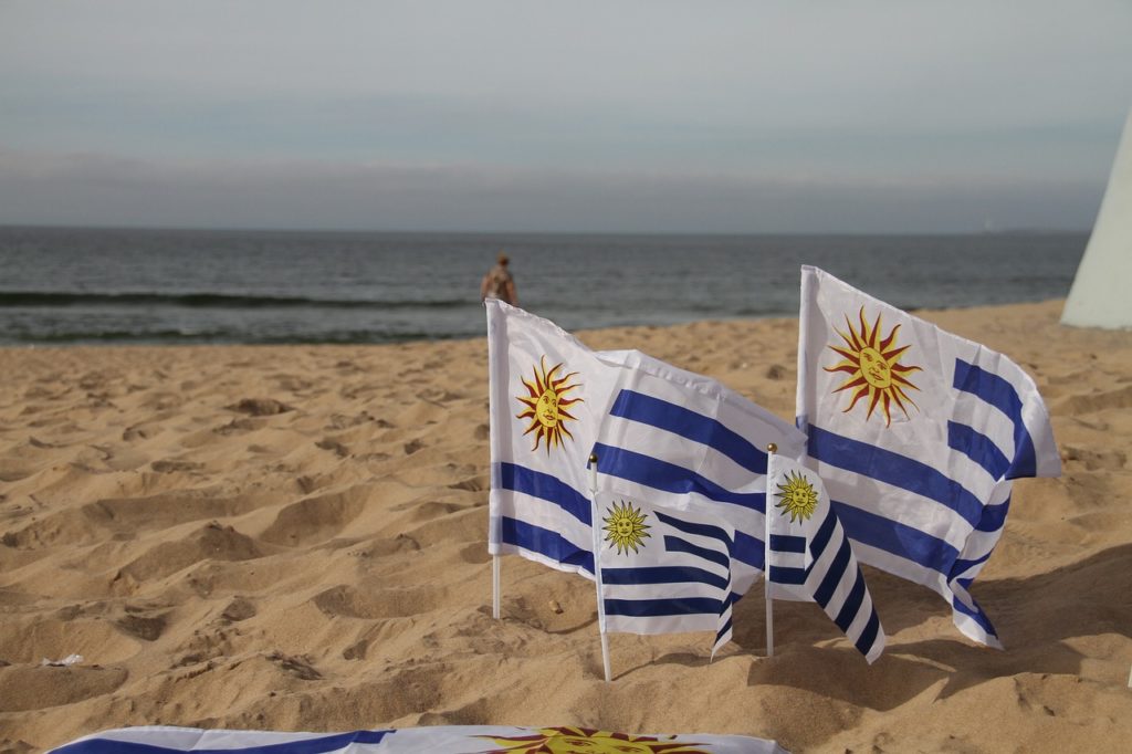 Uruguay flags representing hemp in Uruguay 