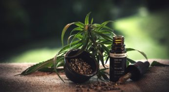 Anvisa exposed data on 1,900 people who use cannabis oil