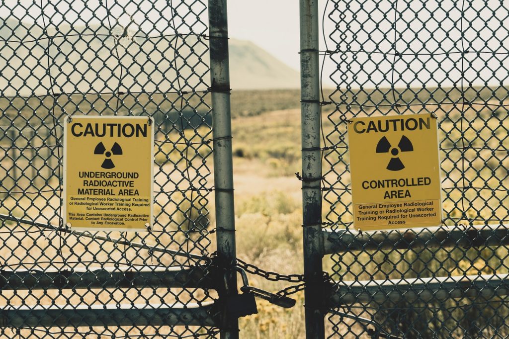 Growing cannabis could save the world from nuclear contamination