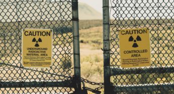 Growing cannabis could save the world from nuclear contamination