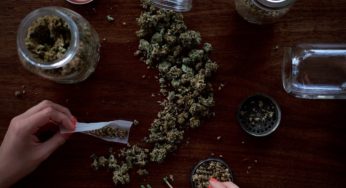 Cannabis could help combat ADHD