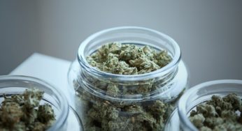 Medical cannabis production legalization in Paraguay