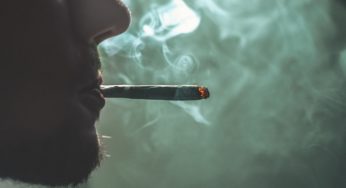 Is cannabis a successful gateway drug?