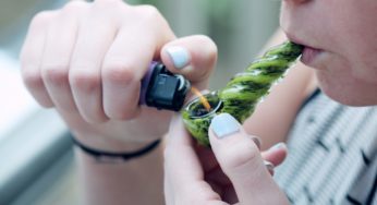 The cannabis industry in Uruguay is growing steadily