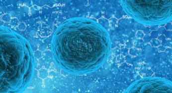 Cannabis and antibiotics could be a successful combination against bacteria