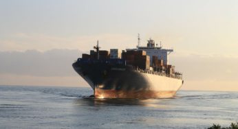 Israeli cannabis companies raise concern about imported products