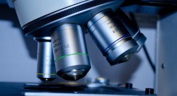 Studies indicate the Cannabis genome was only half mapped