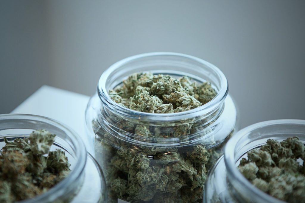 Mold-containing cannabis could pose a serious threat to patients health