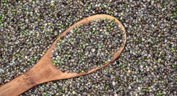 Government considers hemp as an option to develop Costa Rica’s economy
