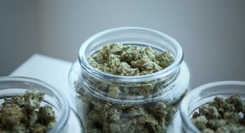 Israel might legalize cannabis by the end of the current year