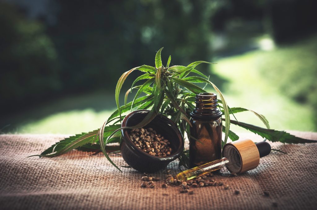 Argentina is experiencing a boom in the use of cannabis oil for medical purposes