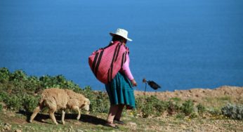 A Colombian indigenous community will start producing legal medical cannabis