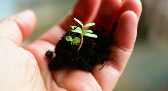 The Argentine province of San Juan plans to grow cannabis
