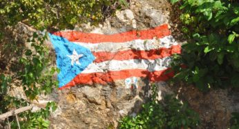 Puerto Rico’s cannabis industry wants to take part in the process of law amendments