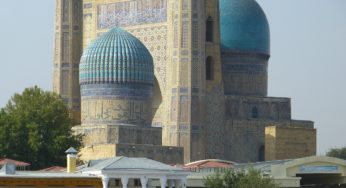 Uzbekistan focuses on unprecedented industrial hemp project
