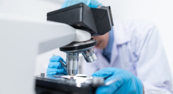 Spain and Latin America collaborate in a cannabis research project