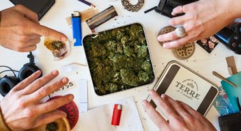 Cannabis clubs could help increase the acceptance of cannabis in Spain