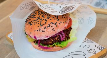 Companies in Ecuador are starting to use hemp to enrich their food products