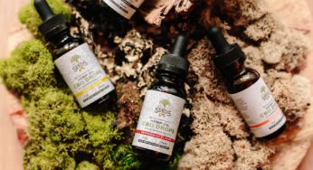 Ecuadorian authorities set limits for the use of medical cannabis