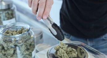 Germany’s cannabis market keeps growing as many favor a partial legalization