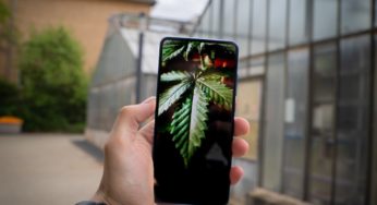 Israeli millionaire aims to create an multi-feature online cannabis app
