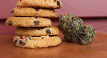 Cannabis is taking the Ecuadorian food sector by surprise