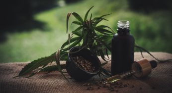 Industry experts debate the future of CBD and cannabis extracts