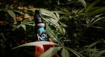 Report finds CBD boom during COVID-19, but rocky road still ahead