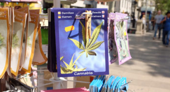 Cannabis laws in Spain reflect the global legal limbo of cannabis
