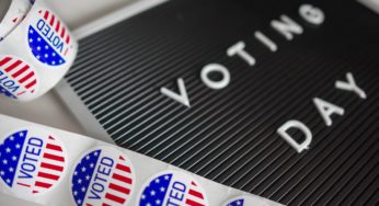 The U.S. Election: what will change in the cannabis world?