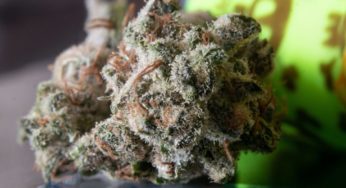 European Commission says it does not consider CBD to be a narcotic