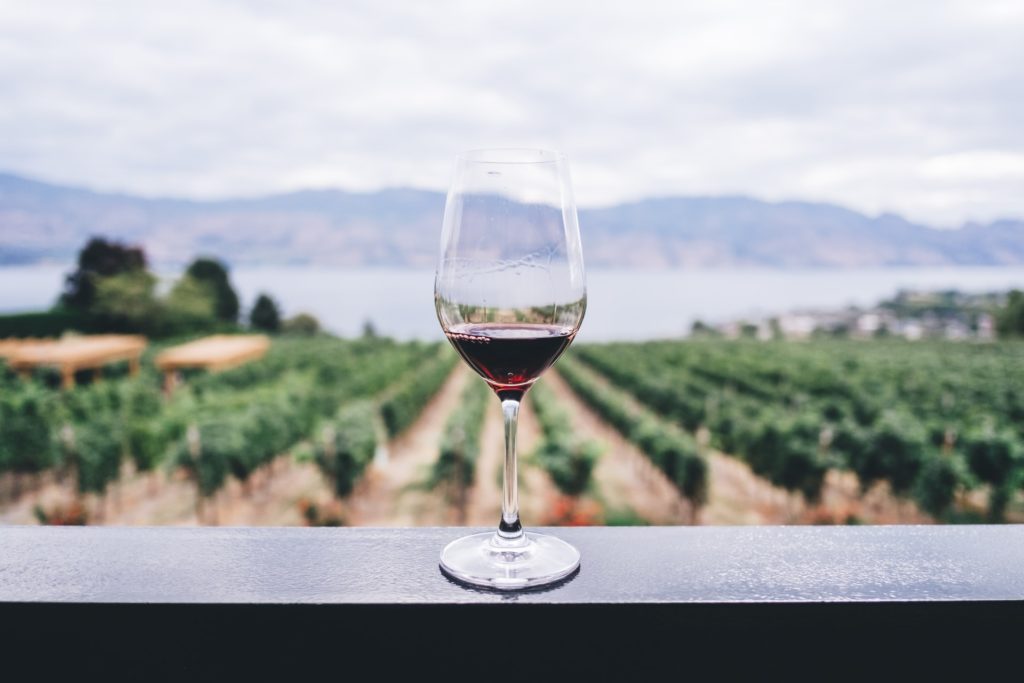 A CBD infused wine is being launched… but it’s not wine