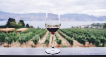 A CBD infused wine is being launched… but it’s not wine