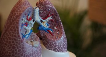 New study on cannabis use in asthma