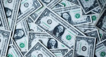 U.S. legalization offers prospects of profitability for cannabis issuers