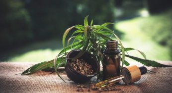 CBD and the CJEU: light cannabis that’s legal but not “medical”