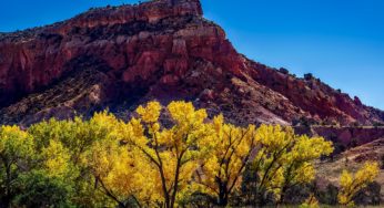 New Mexico latest of US states to legalize cannabis, with Republican endorsement