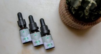CBD in France: Should vape stores be admitted?