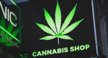 Increase of CBD Shops, but confusion still exists