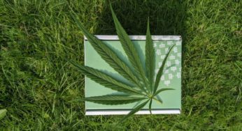 Beverages, cosmetics, and other products: Mexican cannabis market is opening-up