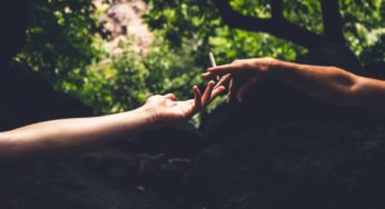 All about cannabis allergies (and how to avoid them)