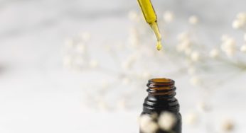 French Government Legalizes CBD