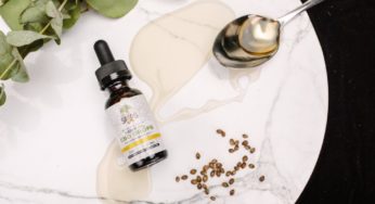 CBD: French Hemp Flower Producers on the Starting Line