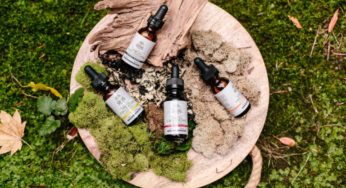 CBD Market Players Are Getting Organised in Paris