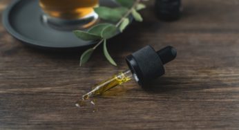 CBD Cannabis Culture in France’s Pyrénées-Orientales